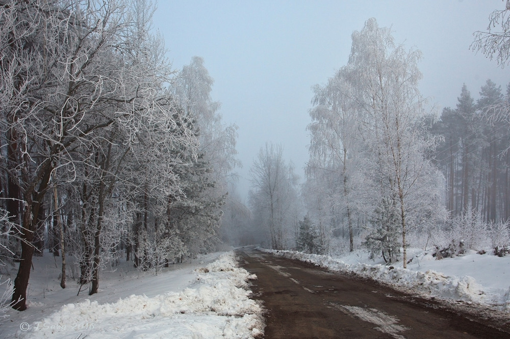 Фотографія Замерзаючий туман-6 / TSerg (Сергій) / photographers.ua