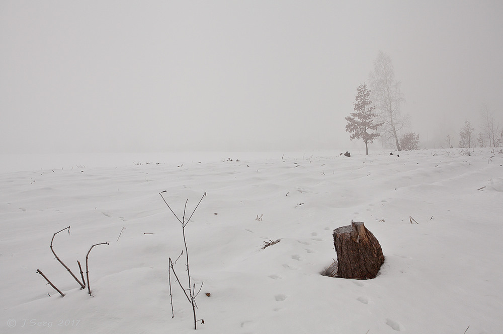 Фотографія Замерзаючий туман-7. З іншого боку / TSerg (Сергій) / photographers.ua