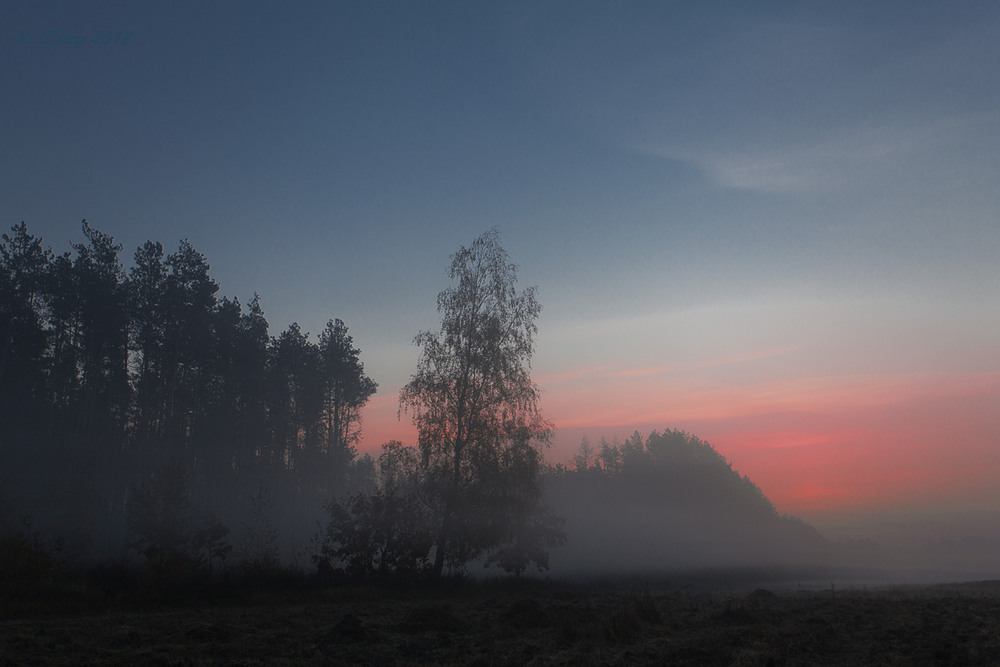 Фотографія За туманом нічого не видно-2 / TSerg (Сергій) / photographers.ua