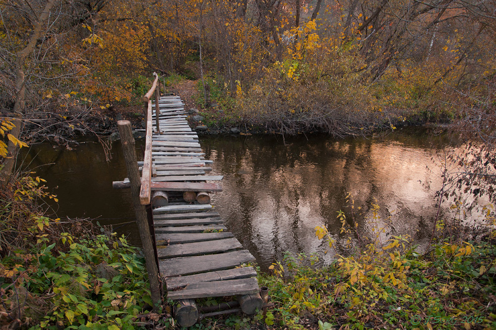 Фотографія Місток у поліську осінь / TSerg (Сергій) / photographers.ua