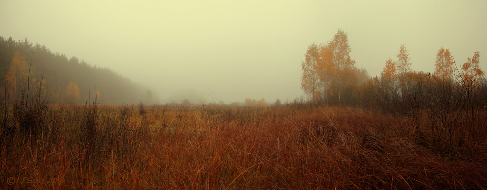 Фотографія Осінь в тумані (панорама) / TSerg (Сергій) / photographers.ua