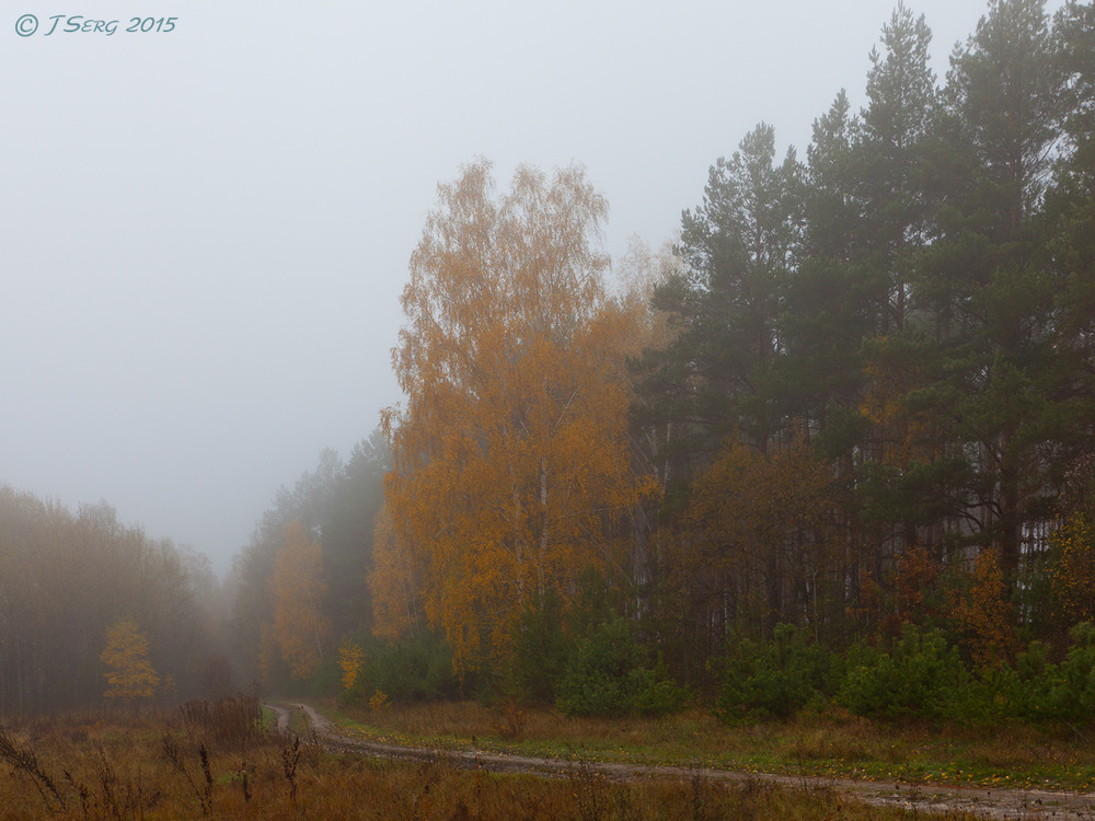 Фотографія Просто осінь / TSerg (Сергій) / photographers.ua