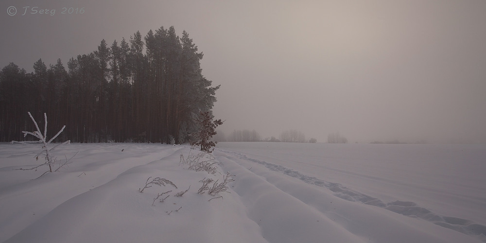 Фотографія Замерзаючий туман-2 / TSerg (Сергій) / photographers.ua