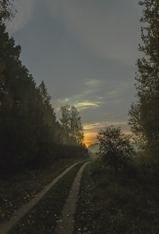 Фотографія Дорога в осінній світанок / TSerg (Сергій) / photographers.ua