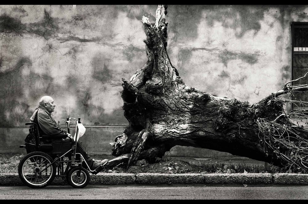 Фотографія Старик и дерево / Nataliia Moroz / photographers.ua