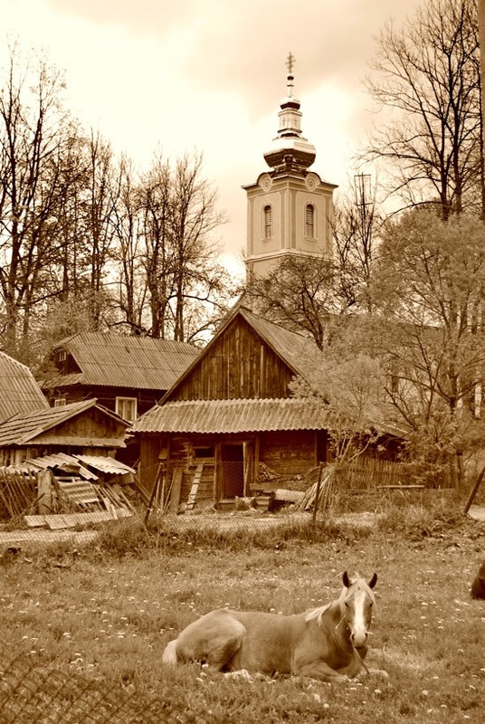 Фотографія Разное / Алексей Ю / photographers.ua