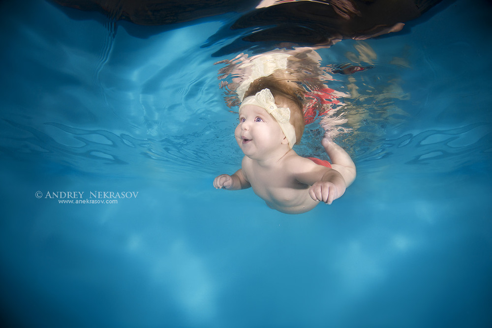 Фотографія Подводный мир / Andrey Nekrasov / photographers.ua