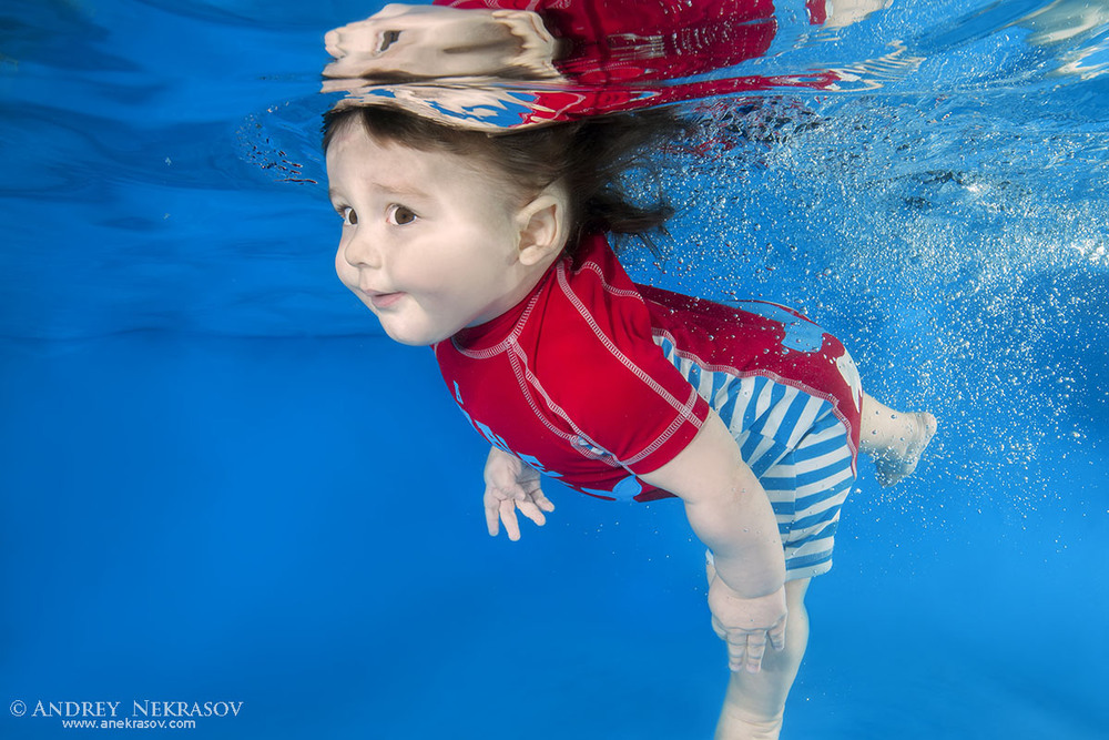 Фотографія Детский мир / Andrey Nekrasov / photographers.ua