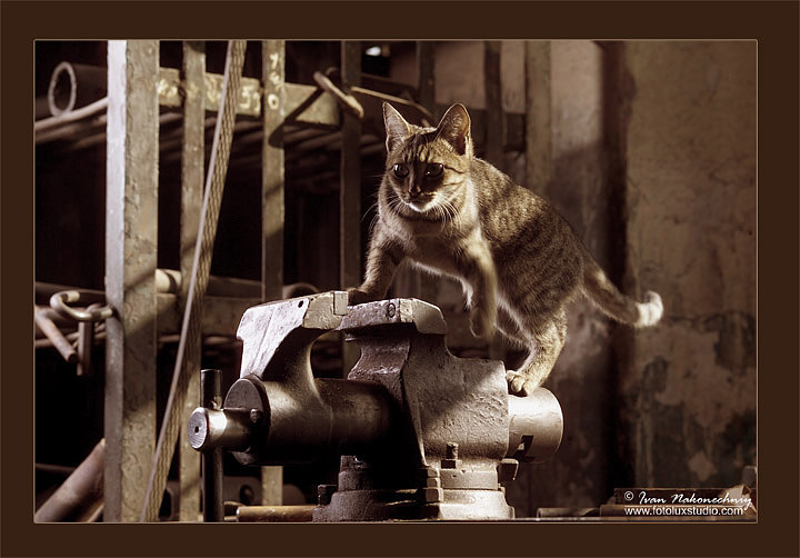 Фотографія Андроповские времена...Точное время 13час.59мин:) / Иван Наконечный / photographers.ua