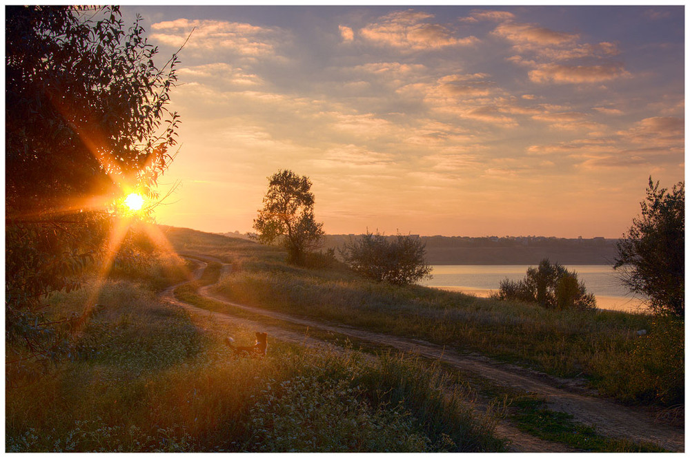 Фотографія На встречу солнцу / Александр Здельник / photographers.ua