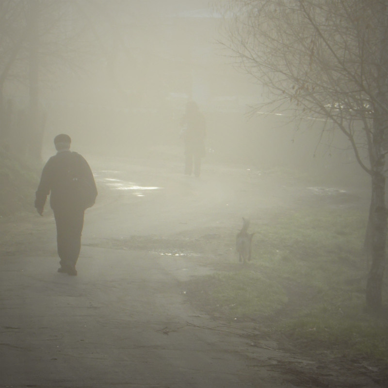Фотографія За тими, що прямують в туман... / Юрій Шушкевич / photographers.ua