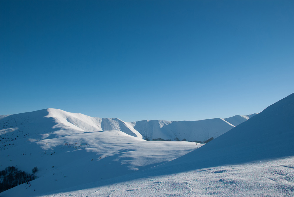 Фотографія Arctic blue / Йожин з Бажин / photographers.ua