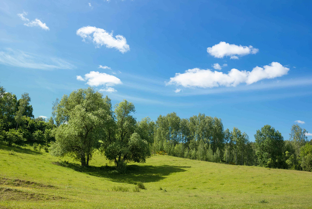 Фотографія Polissyan serenity / Йожин з Бажин / photographers.ua