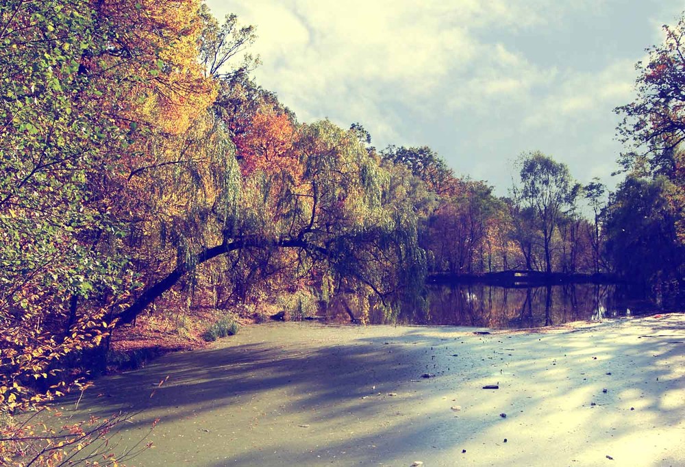 Фотографія *** / Людмила Малышева / photographers.ua