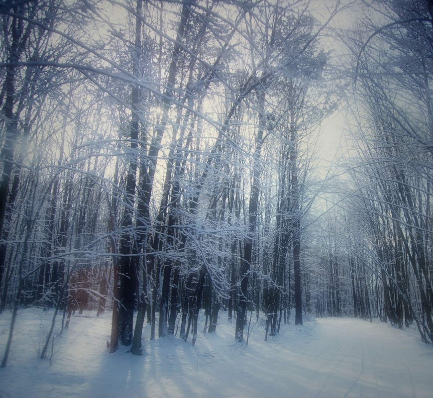 Фотографія *winter fairytale* / Людмила Малышева / photographers.ua