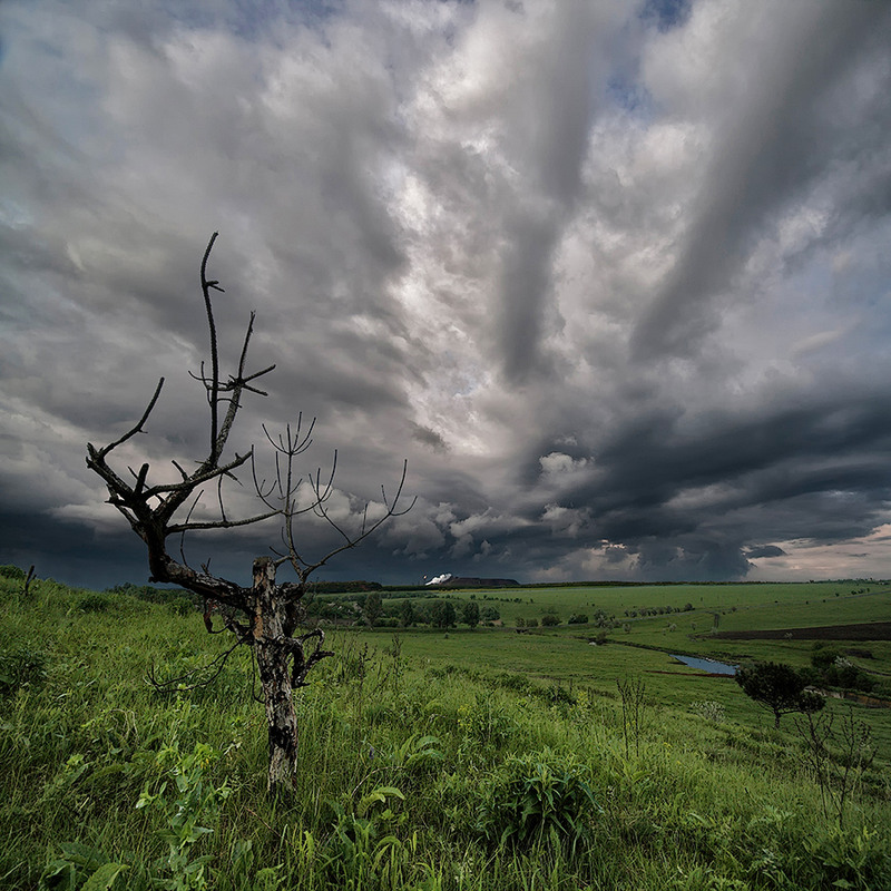 Фотографія Сейчас заплачут облака... / Аркадий МОСКОВЧЕНКО / photographers.ua