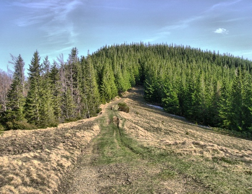 Фотографія Шлях у невідоме / Артур Сіренко / photographers.ua