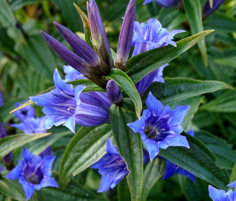 Фотографія Тирлич / Артур Сіренко / photographers.ua