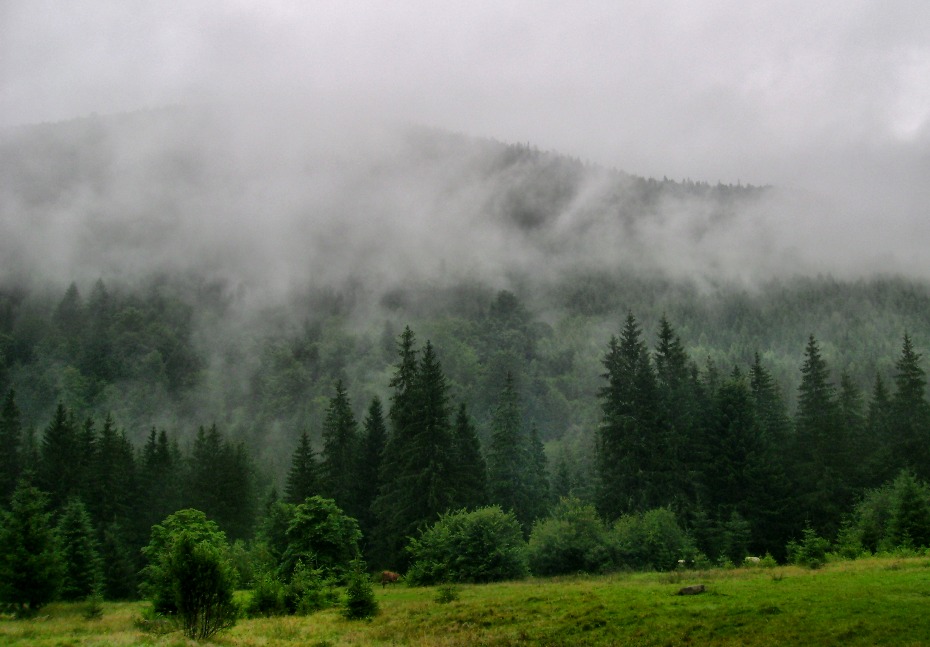 Фотографія Гора і туман / Артур Сіренко / photographers.ua