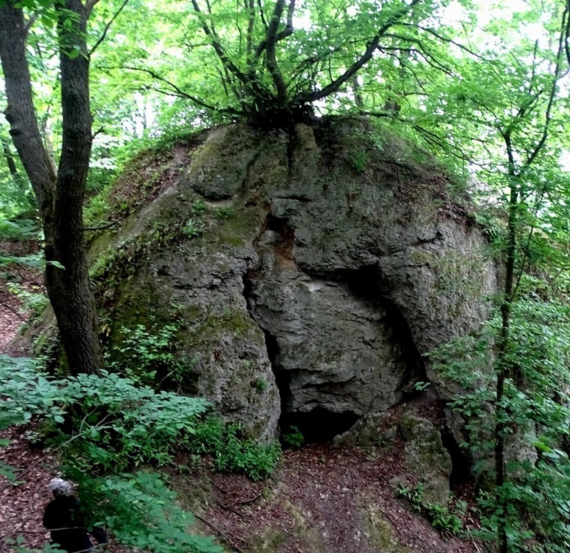 Фотографія Те, що ховає ліс / Артур Сіренко / photographers.ua