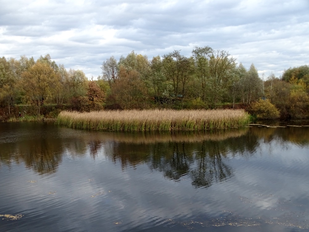 Фотографія Осіннє озеро / Артур Сіренко / photographers.ua