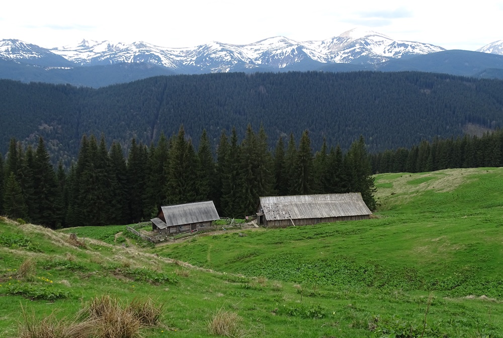 Фотографія Ранчо весною / Артур Сіренко / photographers.ua