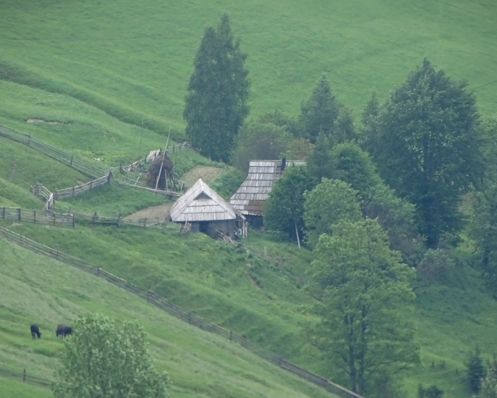 Фотографія Самотня садиба / Артур Сіренко / photographers.ua