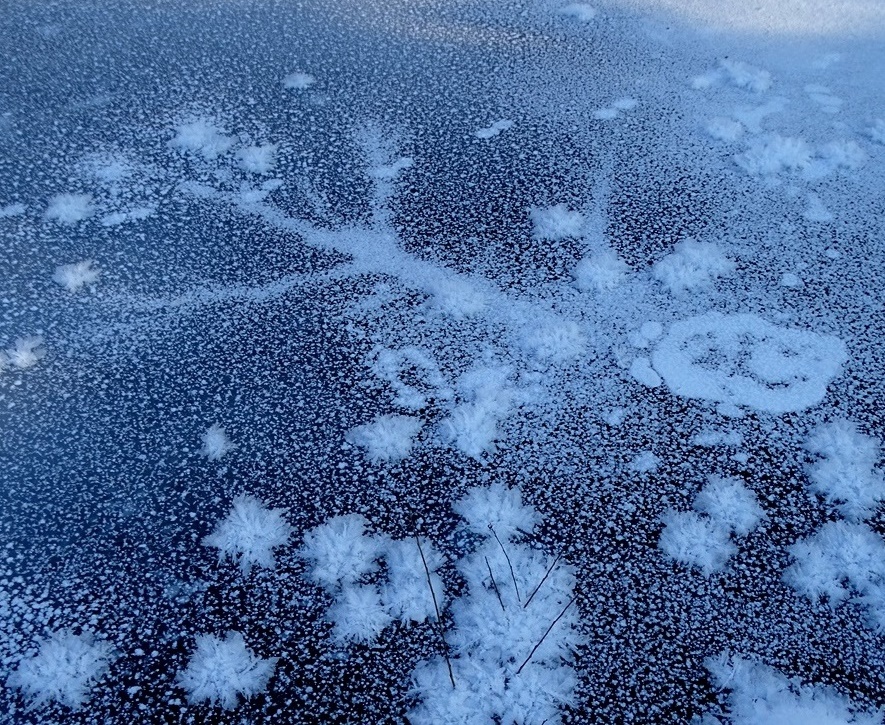 Фотографія На зимовому озері / Артур Сіренко / photographers.ua