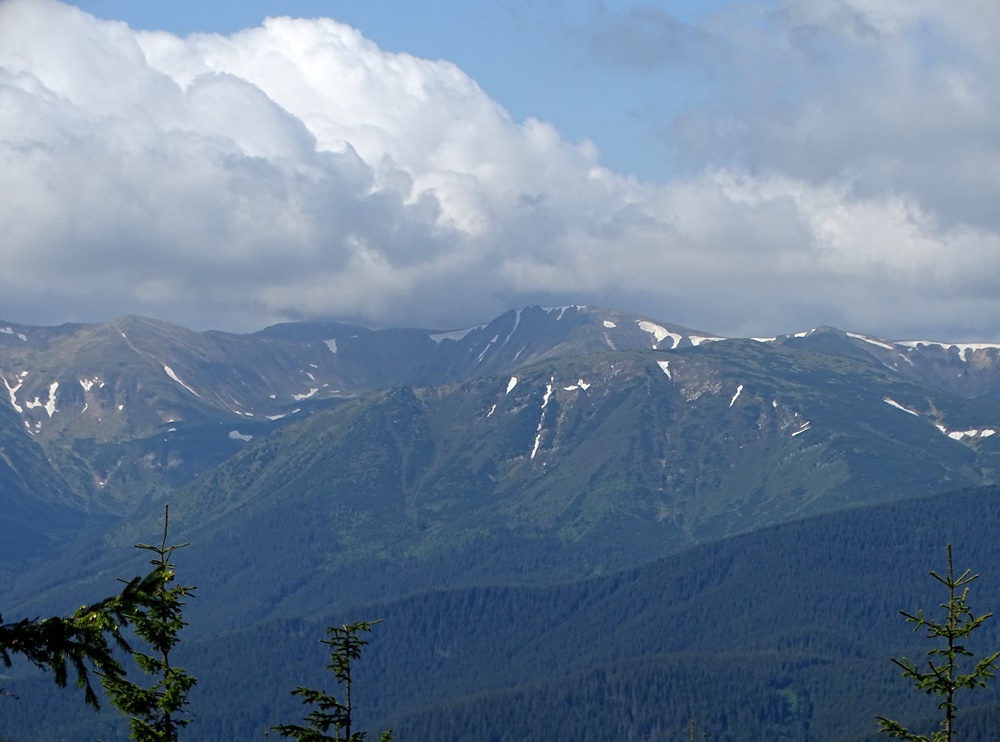 Фотографія Червень в горах / Артур Сіренко / photographers.ua