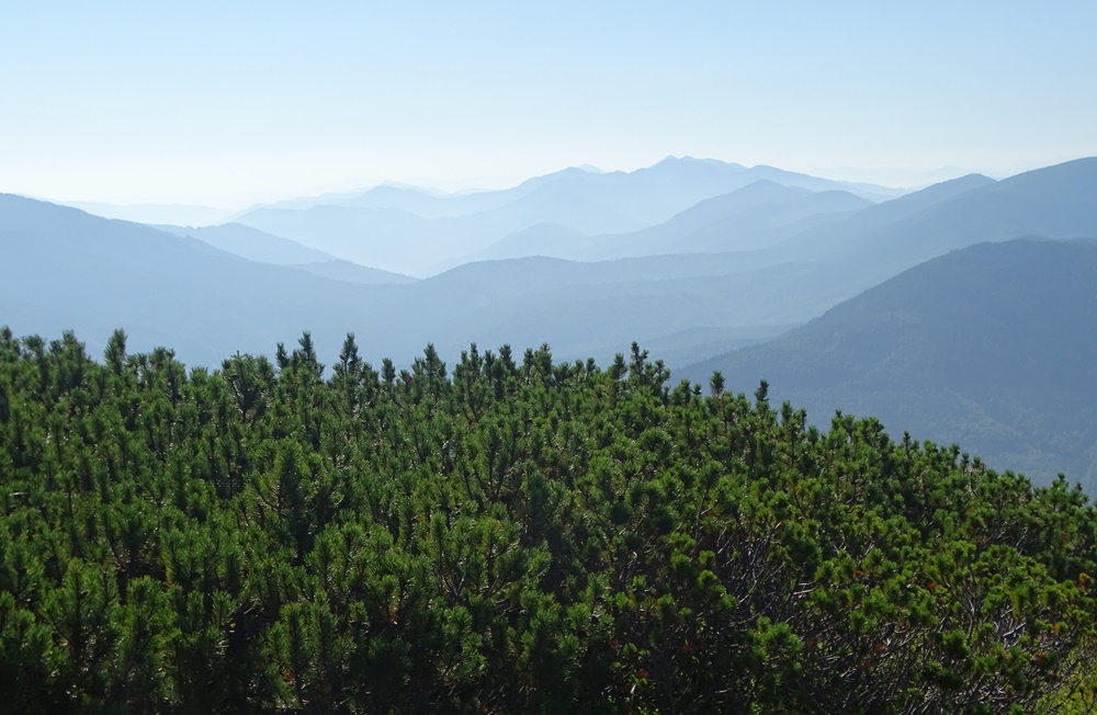 Фотографія Етюд синіх гір / Артур Сіренко / photographers.ua