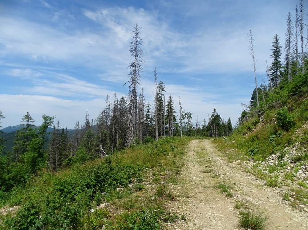 Фотографія Мої дороги / Артур Сіренко / photographers.ua