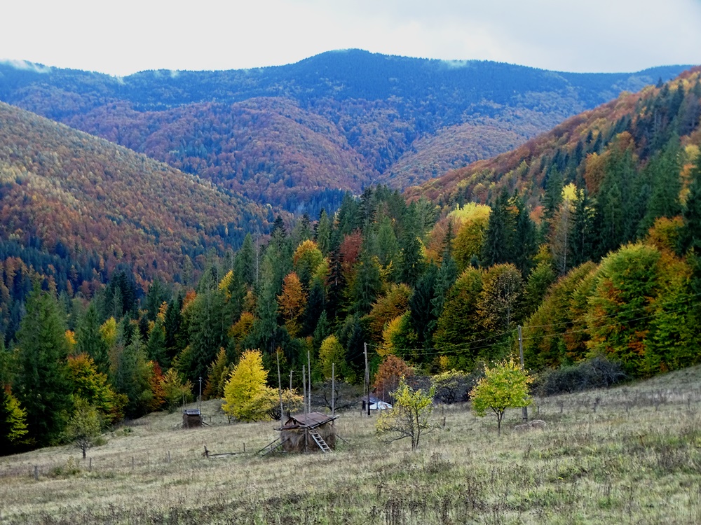 Фотографія Осінь в горах / Артур Сіренко / photographers.ua