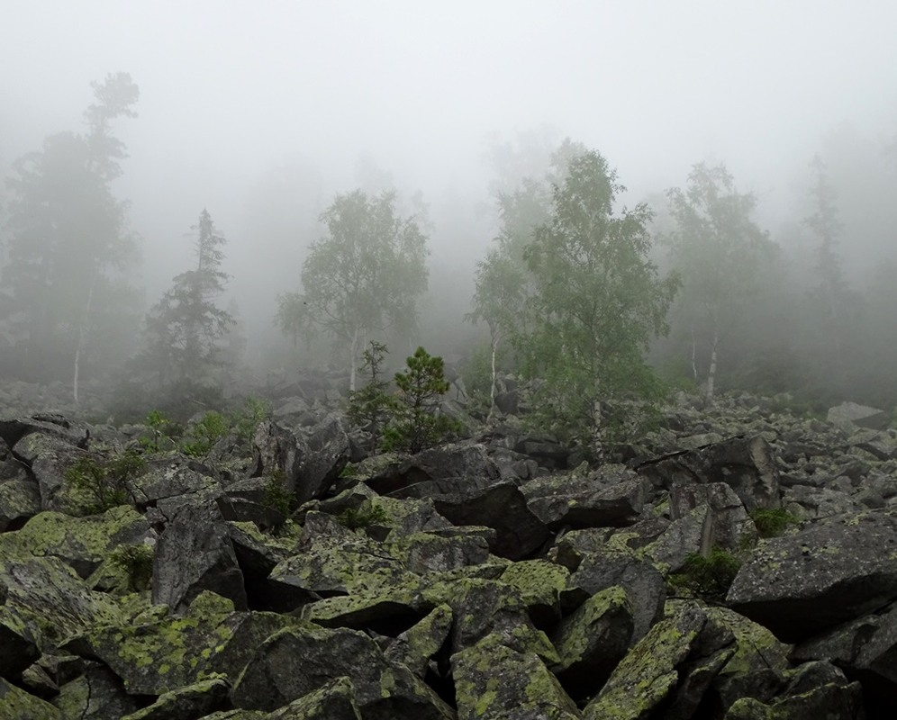 Фотографія Каміння й туман / Артур Сіренко / photographers.ua