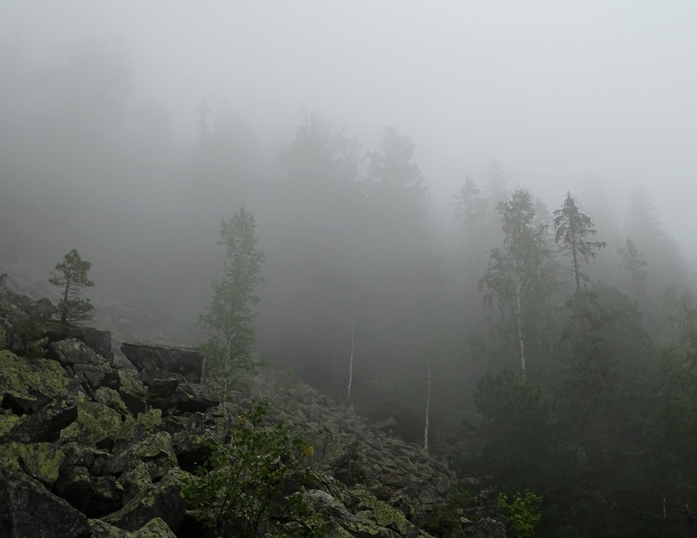 Фотографія Каміння в тумані / Артур Сіренко / photographers.ua