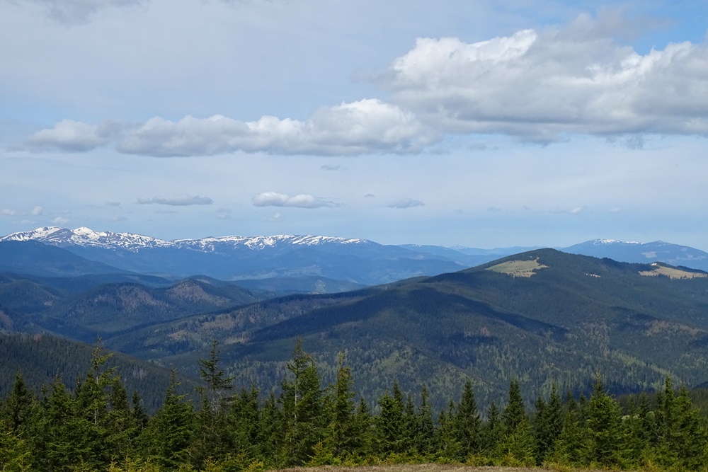 Фотографія Три поверхи весни / Артур Сіренко / photographers.ua