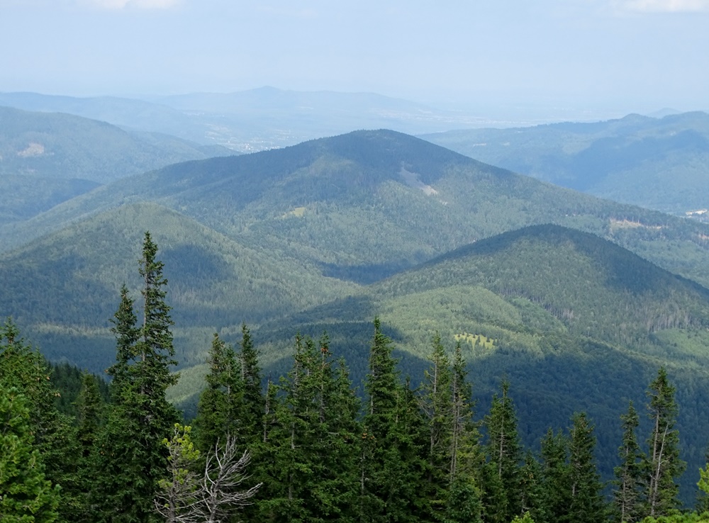 Фотографія Далека гора Мрій / Артур Сіренко / photographers.ua