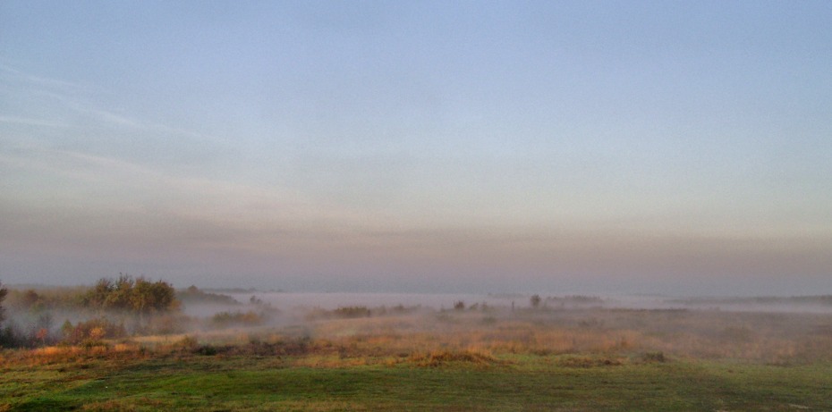 Фотографія Тумани осіннього світанку / Артур Сіренко / photographers.ua