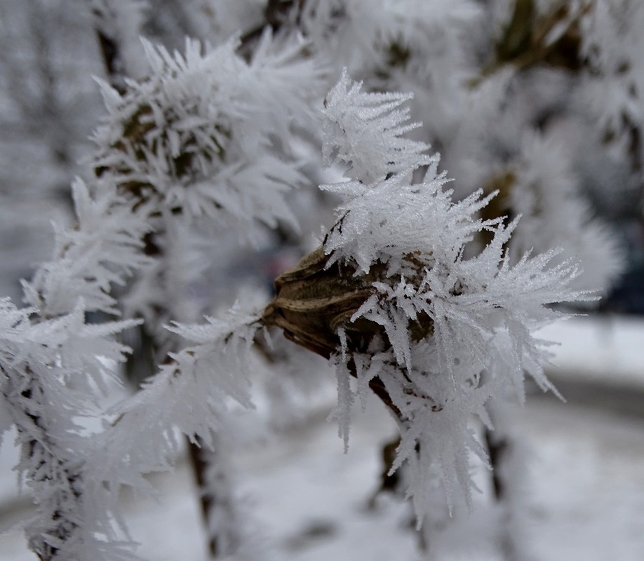 Фотографія Зима / Артур Сіренко / photographers.ua