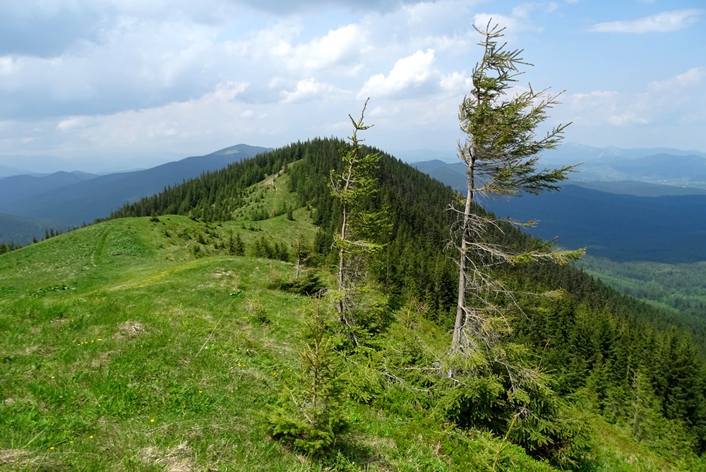 Фотографія Через гори / Артур Сіренко / photographers.ua