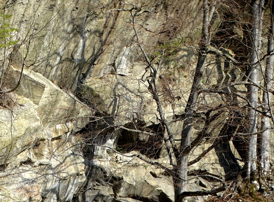 Фотографія Дерева, скелі, тіні / Артур Сіренко / photographers.ua