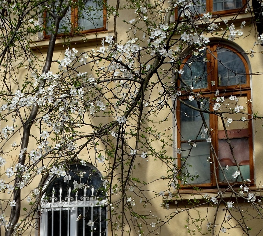 Фотографія Старе місто і весна / Артур Сіренко / photographers.ua