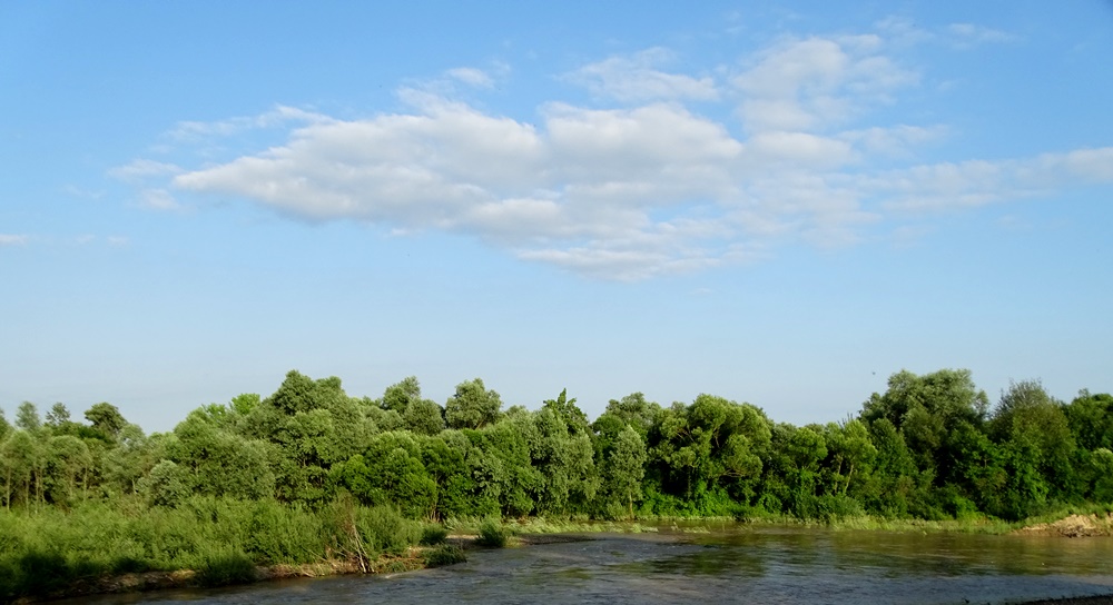 Фотографія Річка, Небо, літо / Артур Сіренко / photographers.ua