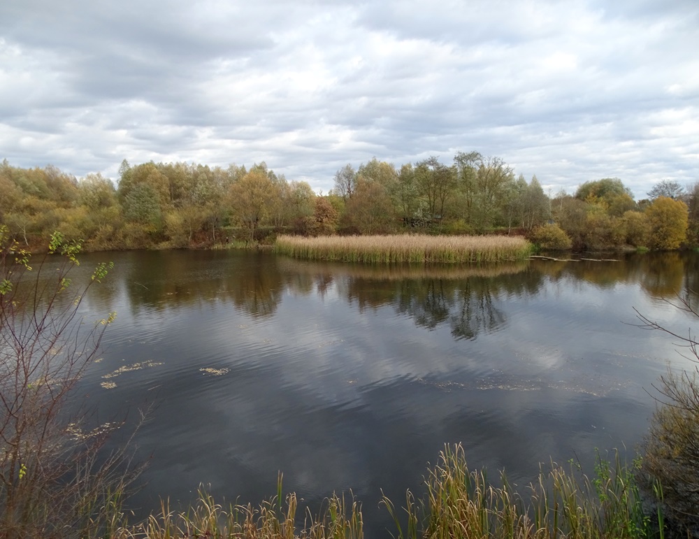 Фотографія Лебедине озеро. Осінь. / Артур Сіренко / photographers.ua