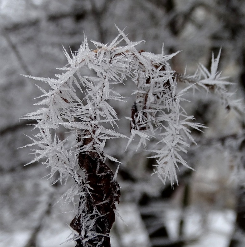 Фотографія Сліди зими / Артур Сіренко / photographers.ua