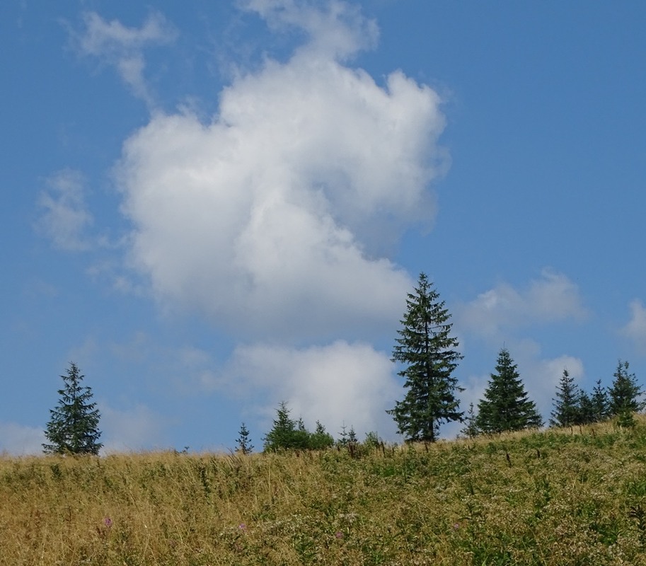 Фотографія Хмара над полониною / Артур Сіренко / photographers.ua