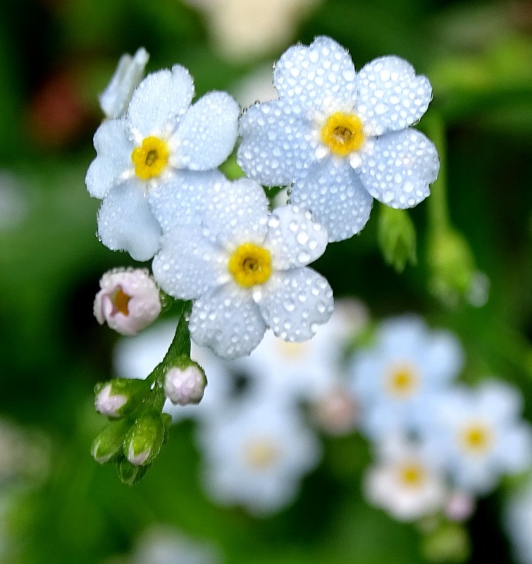 Фотографія Не забудь! / Артур Сіренко / photographers.ua