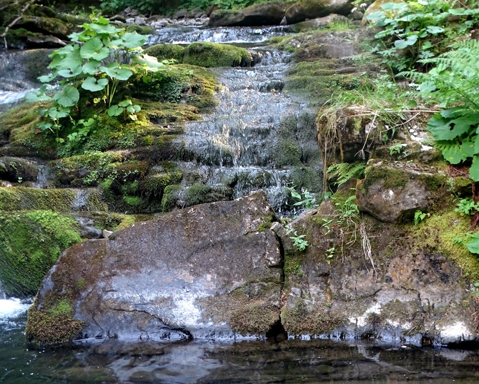 Фотографія Річка медитацій / Артур Сіренко / photographers.ua