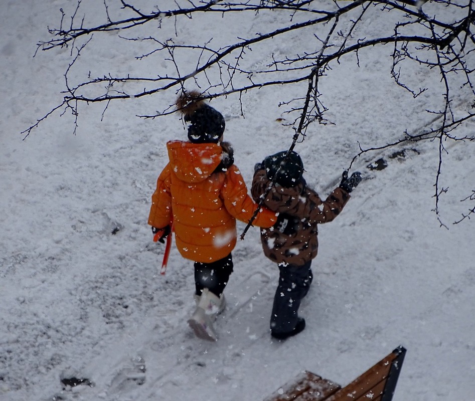 Фотографія Діти і зима / Артур Сіренко / photographers.ua