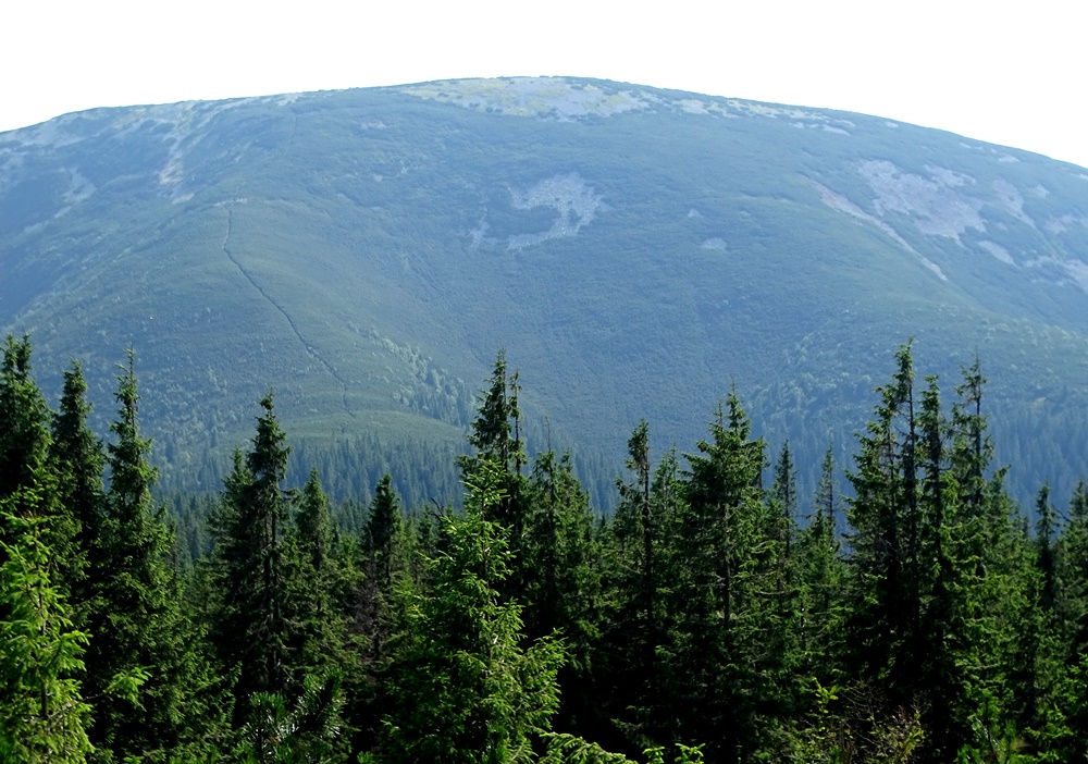 Фотографія Шлях / Артур Сіренко / photographers.ua