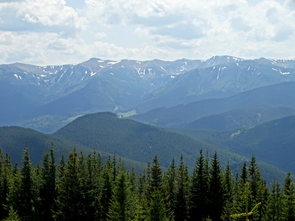 Фотографія Червневі гори / Артур Сіренко / photographers.ua